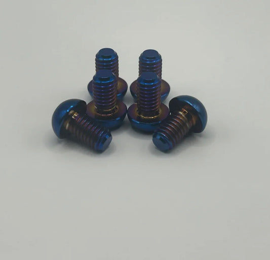 Fork Guard Bolts(6)